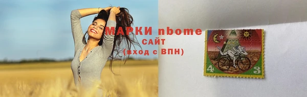 стаф Балахна