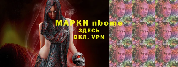 стаф Балахна