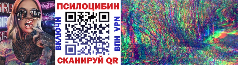 Псилоцибиновые грибы Psilocybine cubensis  Красково 